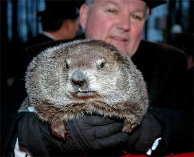 Punxsutawney Phil - the wise groundhog who has been making predictions for over 120 years!